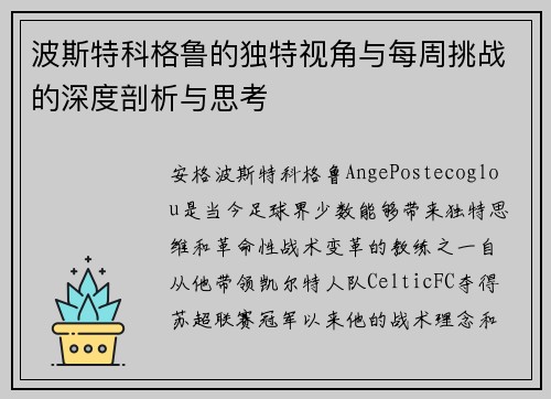 波斯特科格鲁的独特视角与每周挑战的深度剖析与思考
